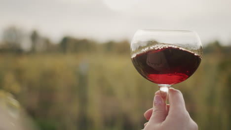 Primer-Plano:-Un-Hombre-Sostiene-Una-Copa-De-Vino-Tinto-Para-Degustar,-Se-Encuentra-Cerca-Del-Viñedo-Antes-Del-Atardecer