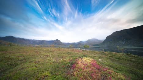 el colorido paisaje de la tundra de otoño en la orilla del fiordo