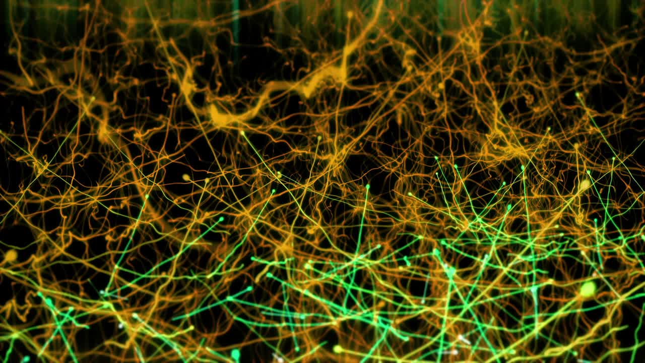 el bucle de vj abstracto