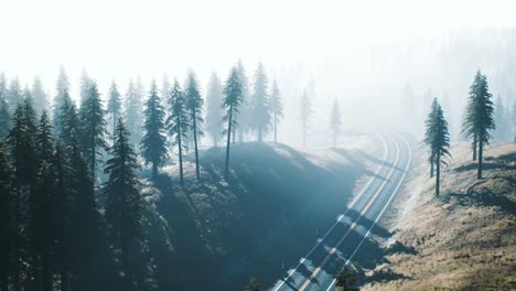 road-through-the-russian-taiga-forest-from-aerial-view