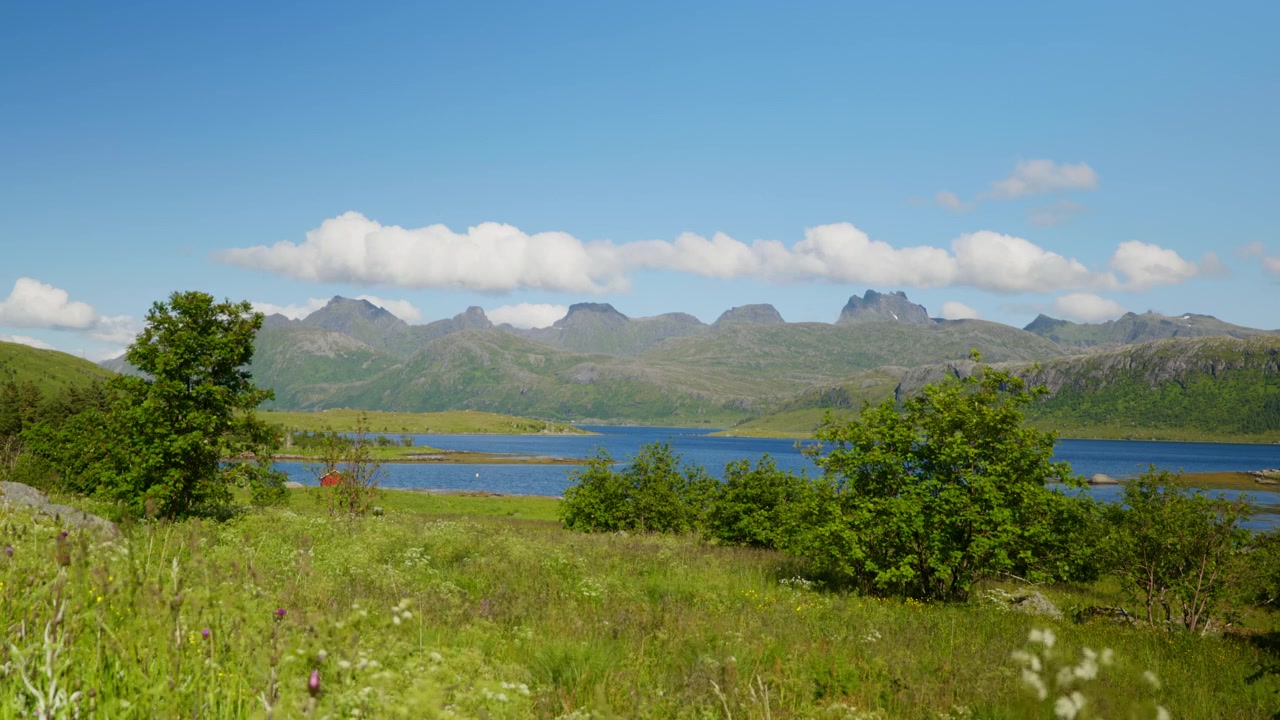 Sommerens villblomster og busker fyller en grønn eng ved siden av en rolig innsjø med robuste fjerne topper under en klar himmel