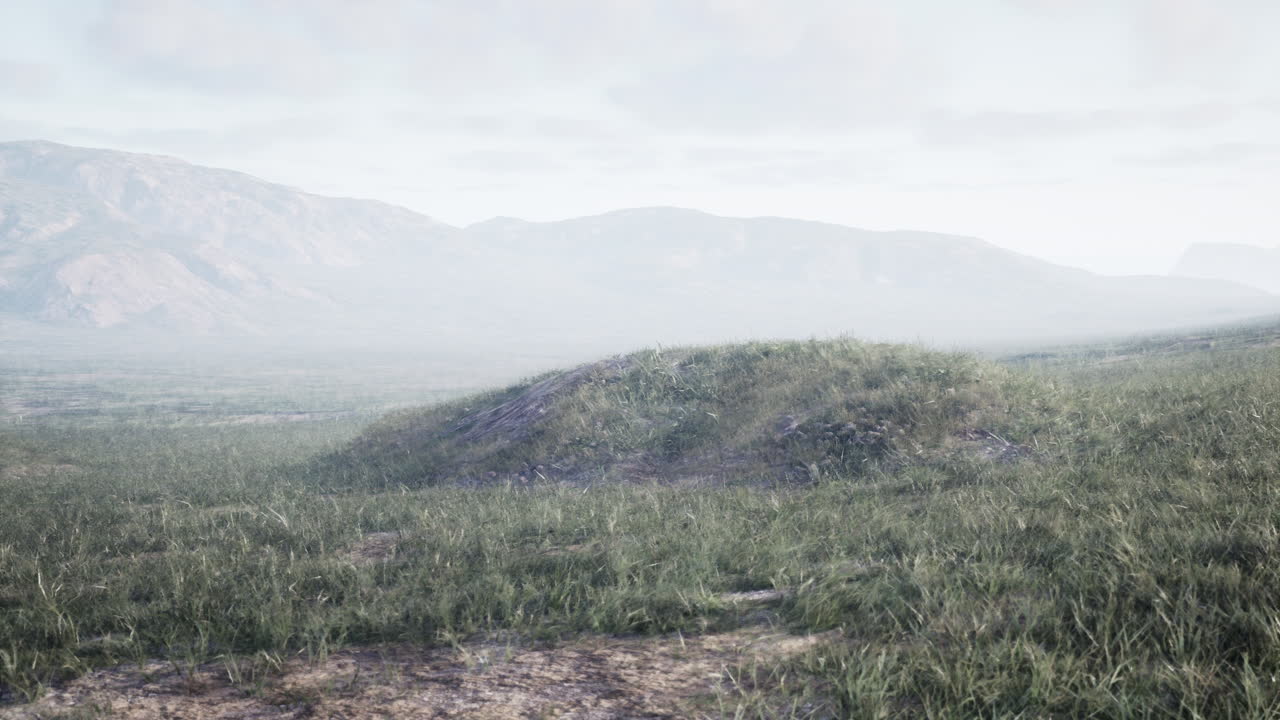 배경 에 산 이 있는 잔디