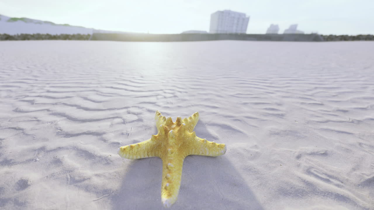 Starfish resting on the sandy shore at sunset near the ocean waves