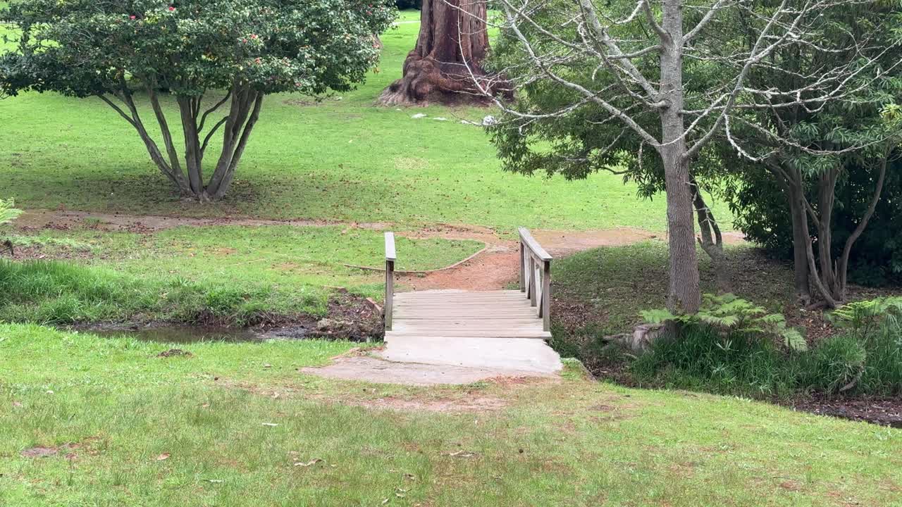 A wooden bridge in a park in Cape Town, South Africa