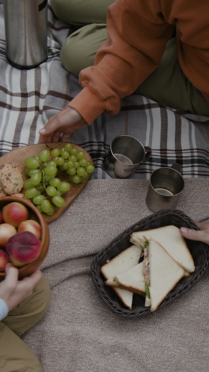 Picnic with sandwiches, grapes, and apples