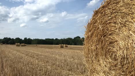 Genießen-Sie-Den-Faszinierenden-Anblick-Der-Heuballen,-Die-Das-Erhabene-Feld-Zieren