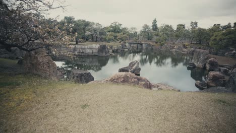 tranquil nature view of garden nearby the nijo castle at ninomaru palace in kyoto, japan