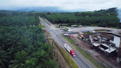 un dron aéreo disparó desde arriba de una plantación de palmeras, mostrando la chimenea humeante de la fábrica de procesamiento y la carretera cercana llena de vehículos altamente contaminantes