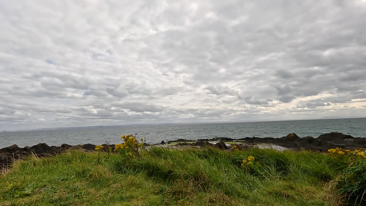 vistas panorámicas de la costa con hierba y flores