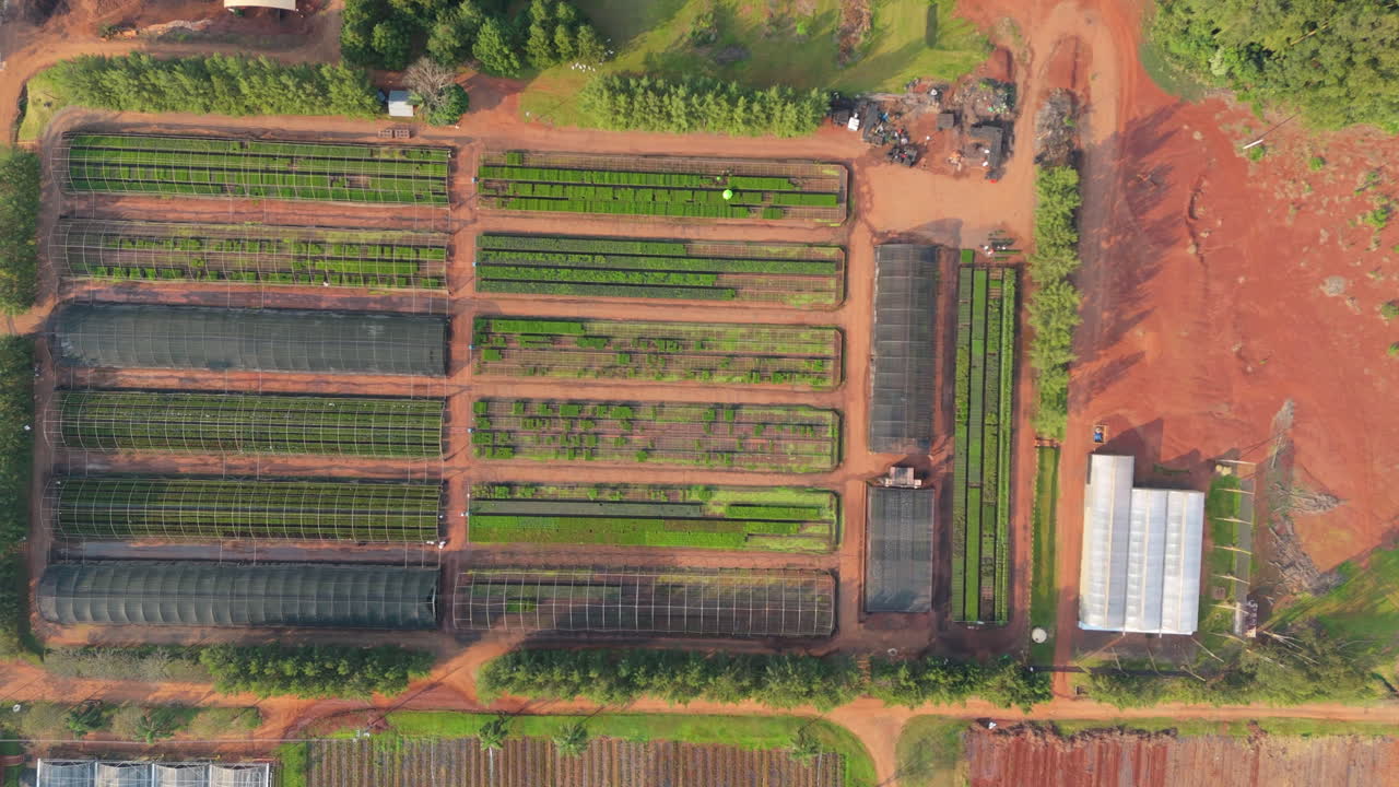 Greenhouses farmland aerial view drone panoramic slide