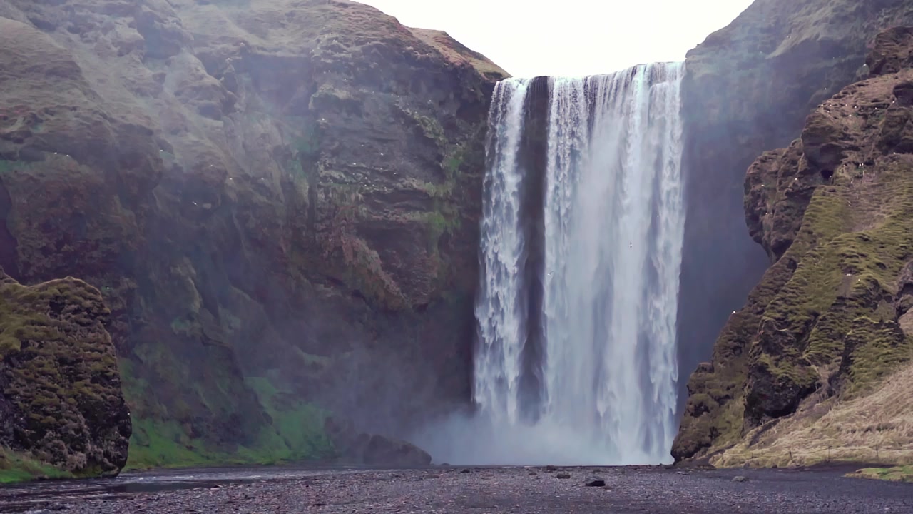 La cascata Skogafoss in Islanda con gabbiani che volano intorno