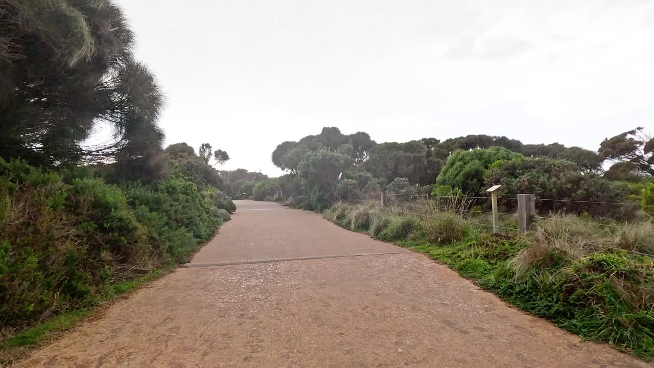 울창한 초록색으로 둘러싸인 비가 오는 길