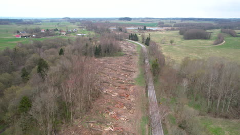 trees cut for mining operations