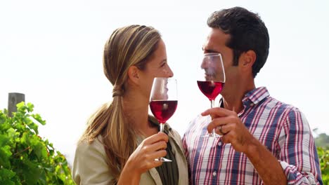 pareja feliz brindando un vaso de vino tinto en el campo