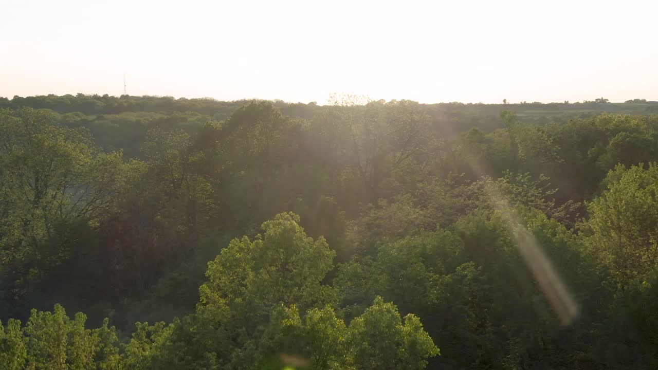 tiro ascendente de la puesta de sol detrás de algunos árboles