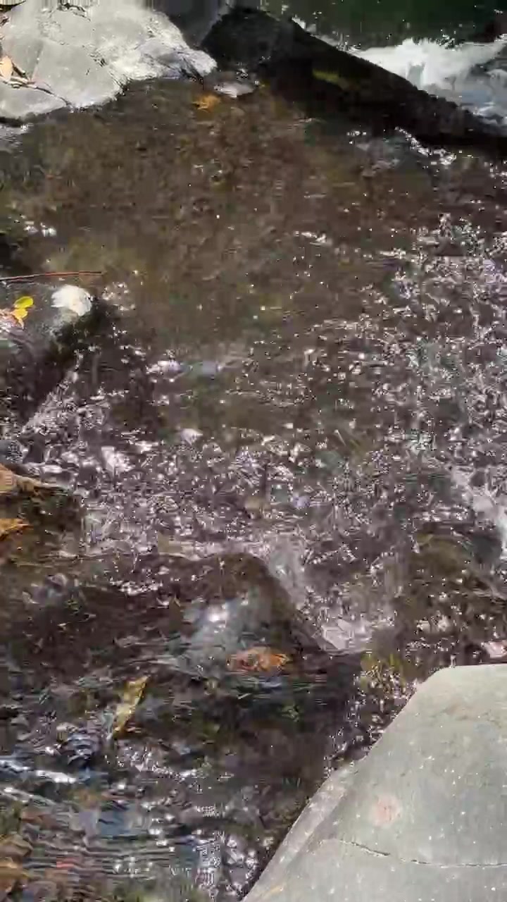 Helder water stroomt over rotsen in een natuurlijke beek