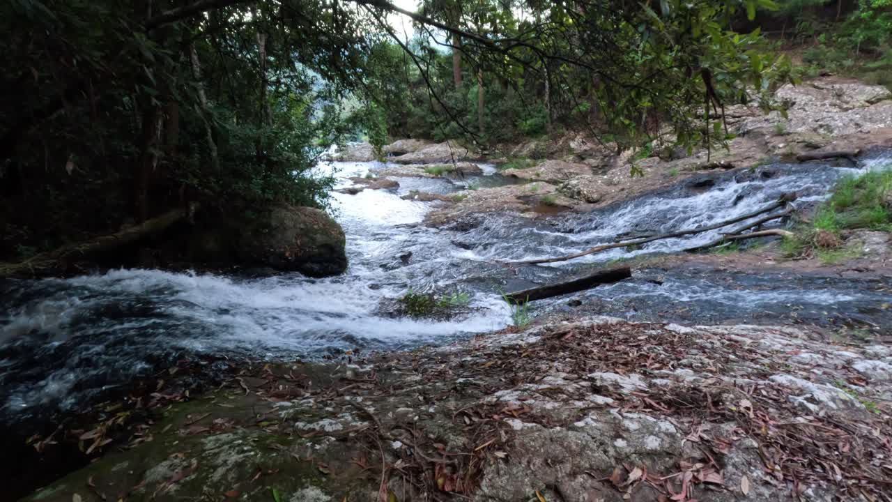 Waterfall and stream in lush forest setting