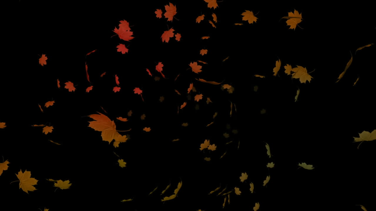검은 바탕에 떨어지는 가을 잎의 애니메이션