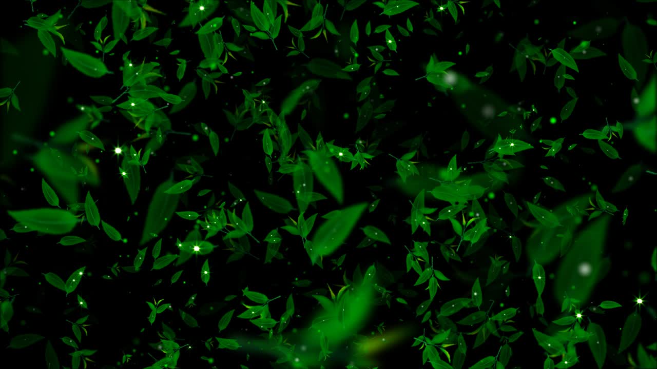 чайные листья с блеском. чайные листя летают. петля