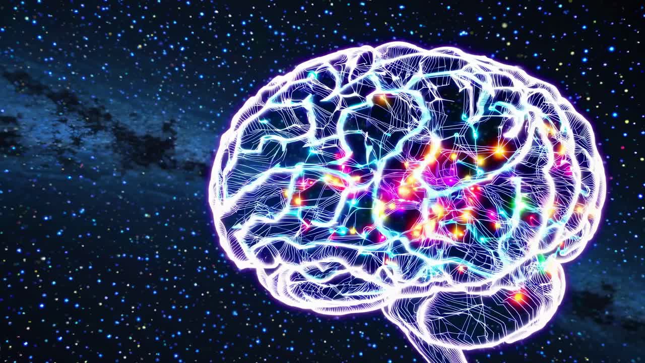 el cerebro en el espacio