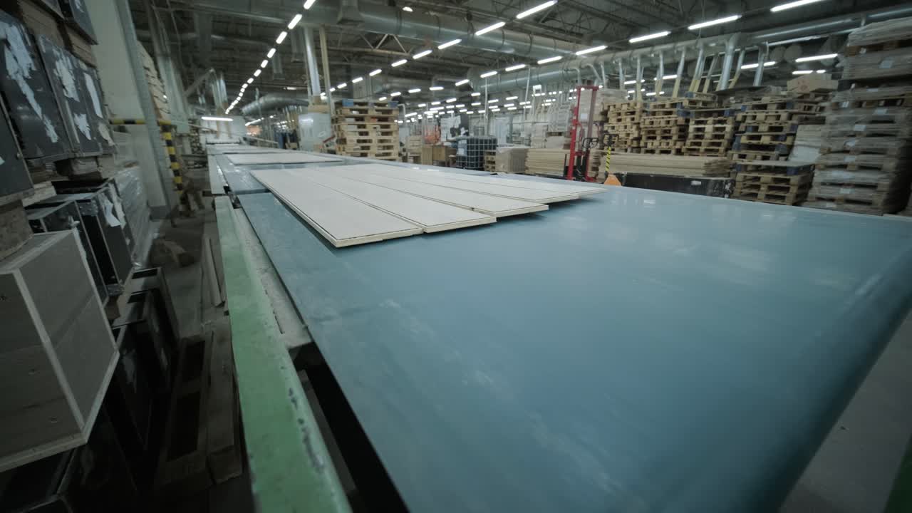 Wooden Planks Moving on Conveyor Belt in Industrial Factory