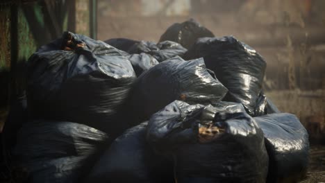 Plastic-trash-bags-on-curb-outside-city-building