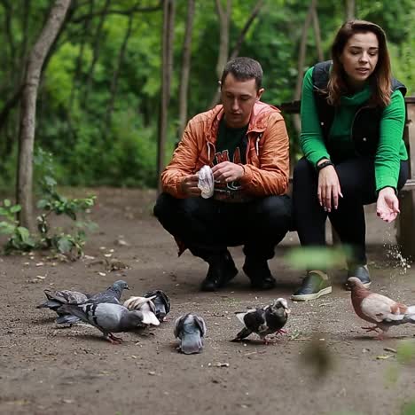couple feeding pigeons