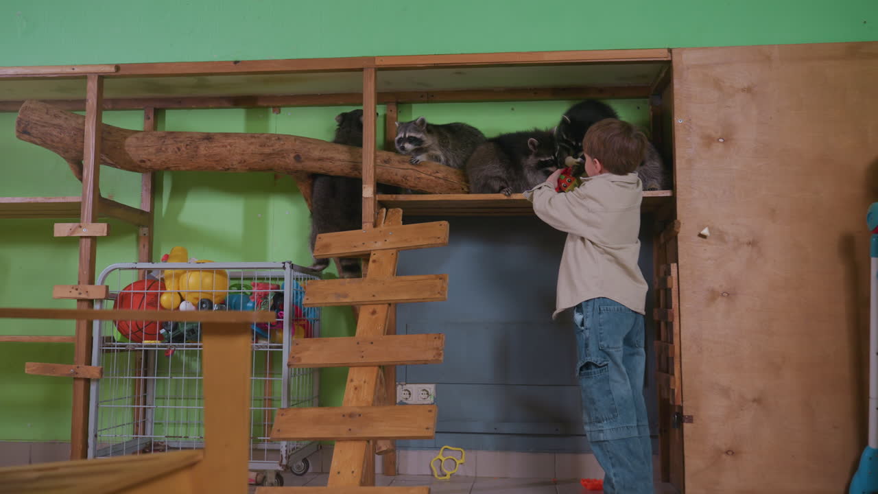 Jonge jongen verkent houten zolderwasberen en reikt ernaar om zachtjes harige dieren aan te raken op een verhoogde plank in een levendige groene speelkamer, met speelgoedmand en ladder in de buurt, een nieuwsgierige ontdekkingsscène die zachtheid overbrengt