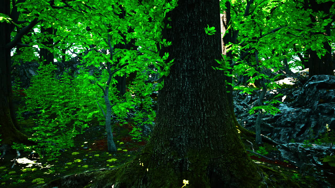 пышный зеленый лес