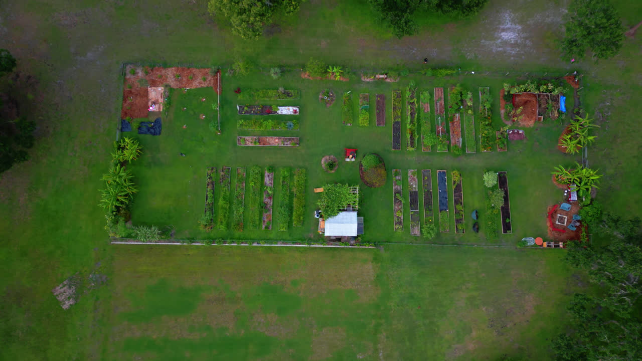 Above View Of An Organic Community Raised Bed Garden In Tampa, Florida. Aerial Top down Shot