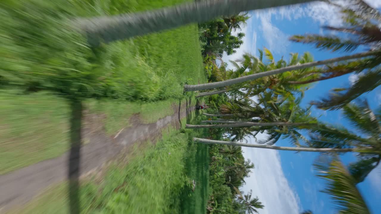 drone fpv vertical después de la toma de una mujer rubia conduciendo una motocicleta en un camino de grava entre palmeras en bali