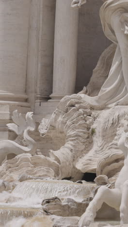 detail of the trevi fountain