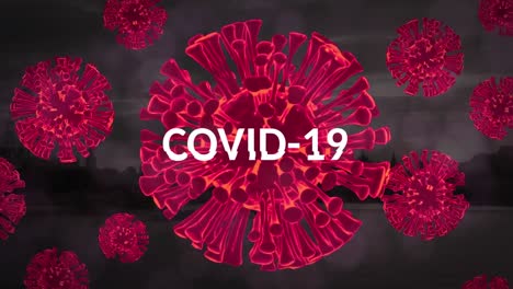 animación de los virus de covid 19 sobre el texto de covid 19