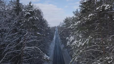 Drohne-Vermeidet-Knapp-Baumwipfel,-Während-Sich-Autos-Auf-Einer-Winterlichen-Ostseestraße-Nähern