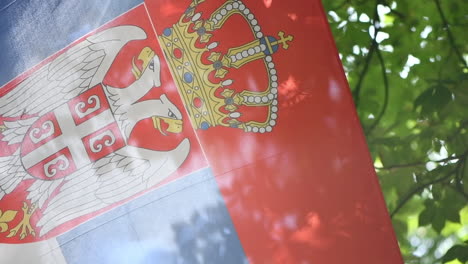 serbian national flag swaying in summer breeze