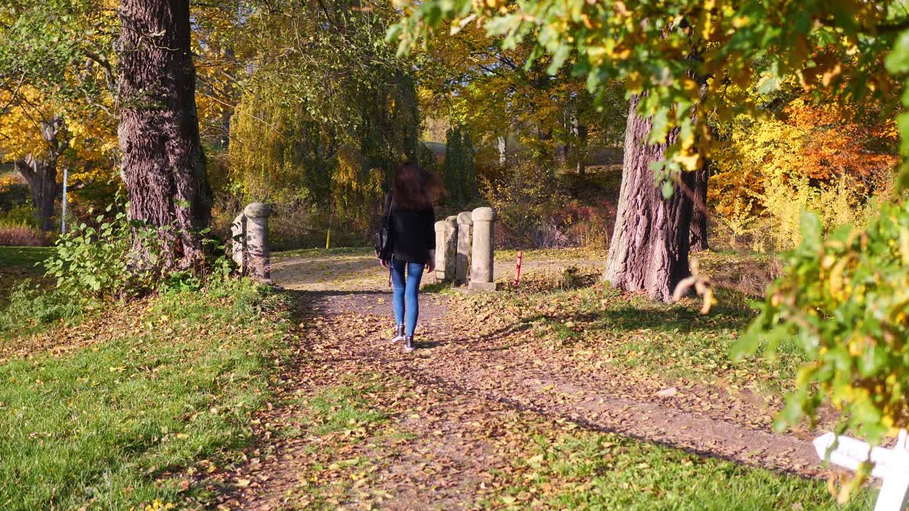 Movimento rallentato di giovane donna in abbigliamento casual con una borsa che cammina nel parco tra i colori delle foglie autunnali in una giornata di sole