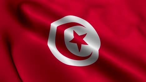 tunisia flag