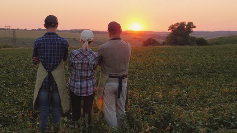 the family of farmers - husband wife and adult son stand on the mole admire the beautiful sunset