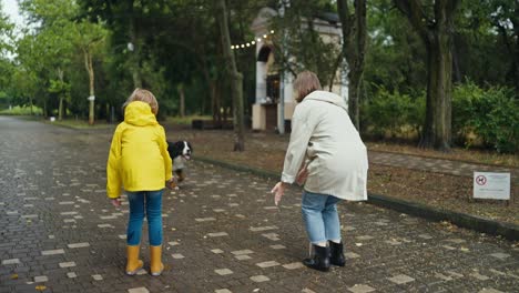 rear view of a happy blonde woman petting a dog with her daughter in a yellow jacket on an alley in the park