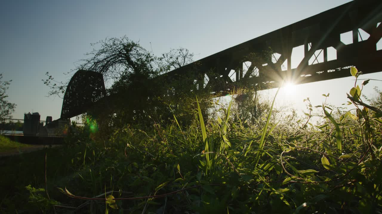 мост в кентукки с подсветкой деревьев