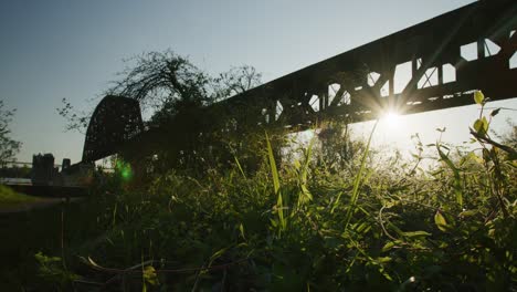 bridge in kentucky backlit with trees