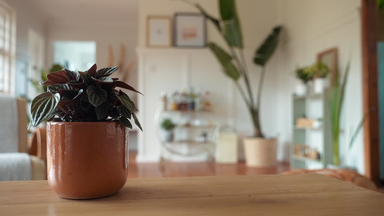 Modern Boho Living Room with Plants and Bar Cart
