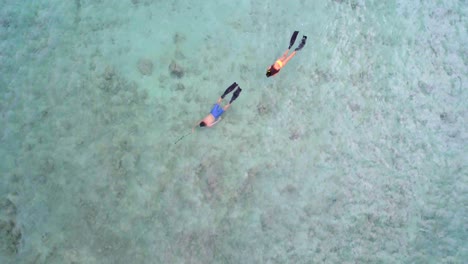 couple snorkeling in the sea 4k