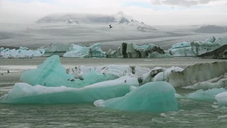 Eisberge-Und-Küstenseeschwalben-Vögel-In-Einem-Fluss-In-Der-Gefrorenen-Arktischen-Jokulsarlon-Gletscherlagune-In-Island-4