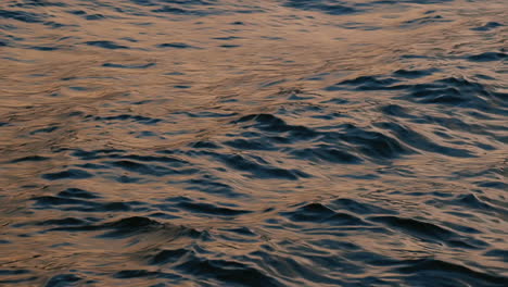 slow motion of blue sea water surface
