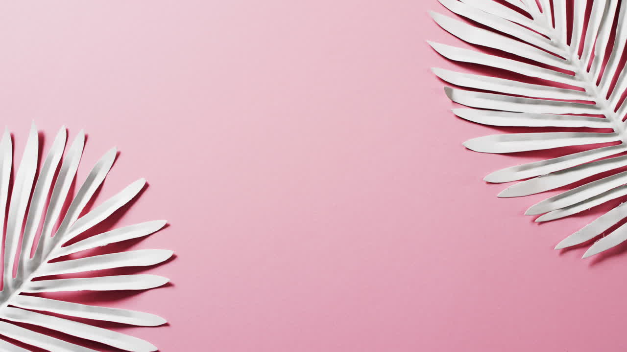video de hojas de plantas blancas con espacio de copia en fondo rosa
