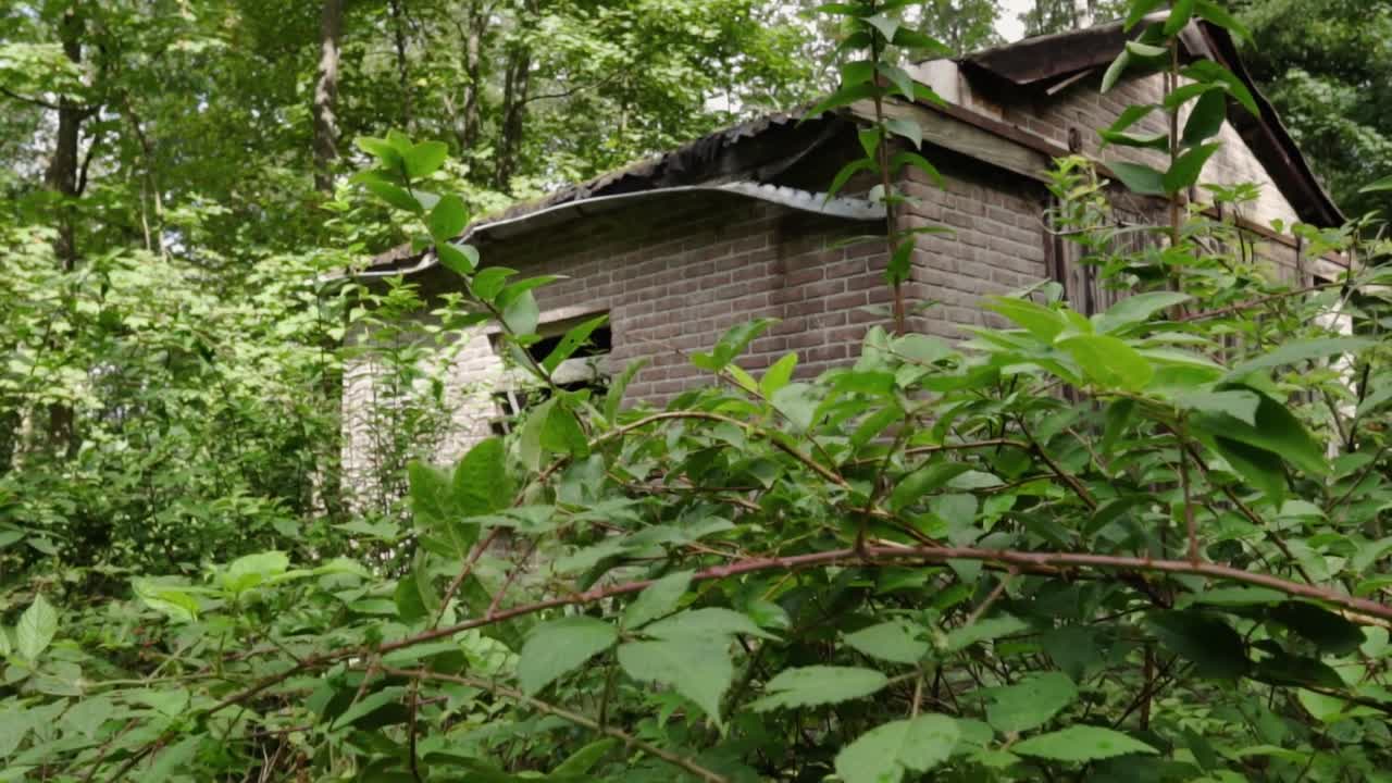 숲 속 의 버려진 벽돌 건물