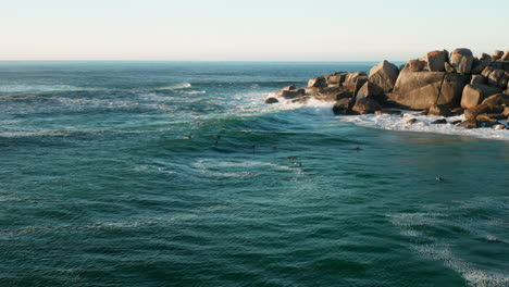 aerial of lladudno beach where surfers are relaxing in the water in cape town, south africa