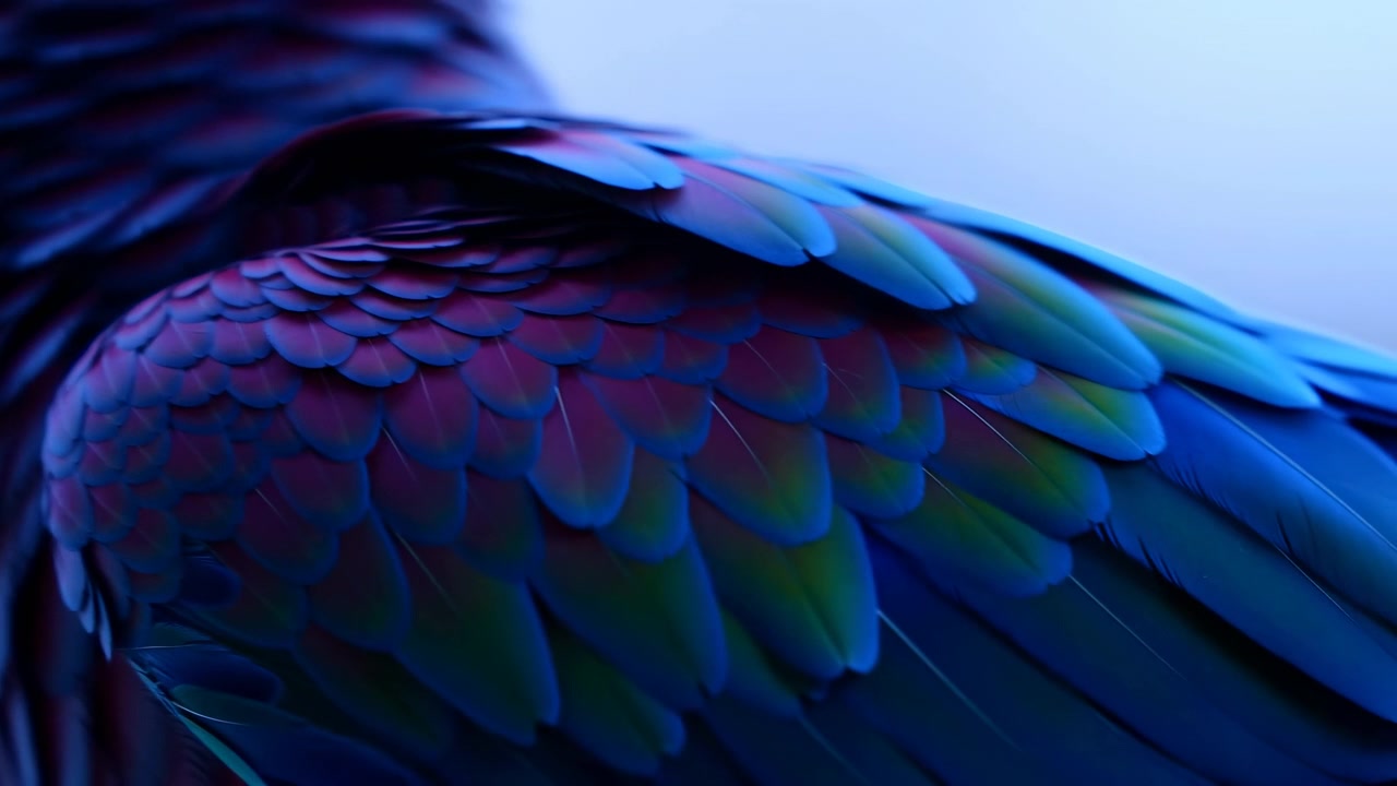 Outer wing vanes lift slightly from compact shoulder feathers, creating narrow gaps, sharper edge definition, and soft separation across vibrant plumage that suggests gentle preening and subtle