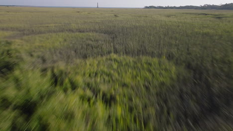 marsh landscape with tall grass and distant tower